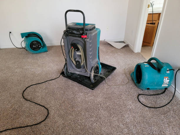 Best Professional water damage repair  in Monrovia, CA
