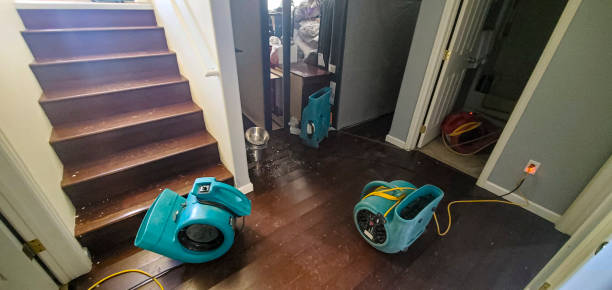 Best Flooded house restoration  in Monrovia, CA