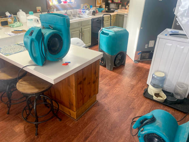Best Sewage cleanup and water damage restoration  in Monrovia, CA