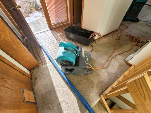 Best Flood restoration services  in Monrovia, CA