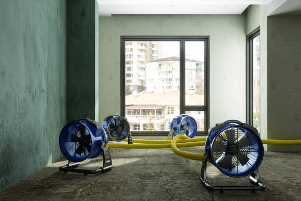 Best Residential water damage restoration  in Monrovia, CA